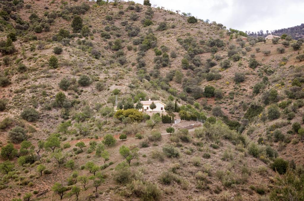 Rural Montes Malaga: Finca Pedregales Номер фото